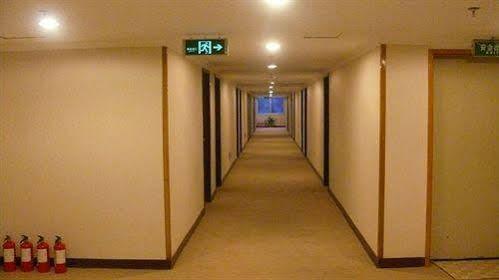 The Overseas Chinese Building Hotel Shenzhen Eksteriør billede